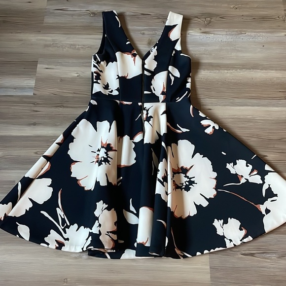 Anthropologie Maeve Amory Black Ivory Floral Fit & Flare Dress Size 4 Classic - Picture 11 of 14